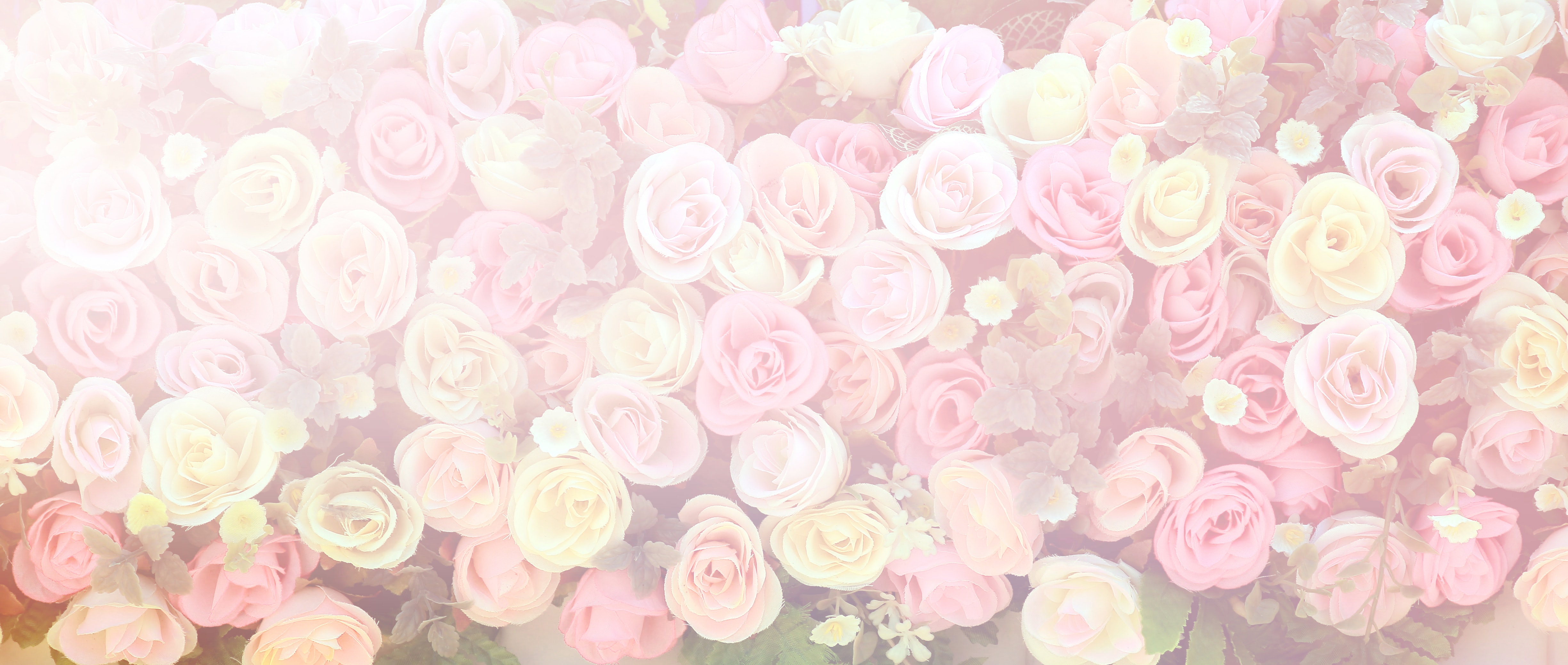TOP Background